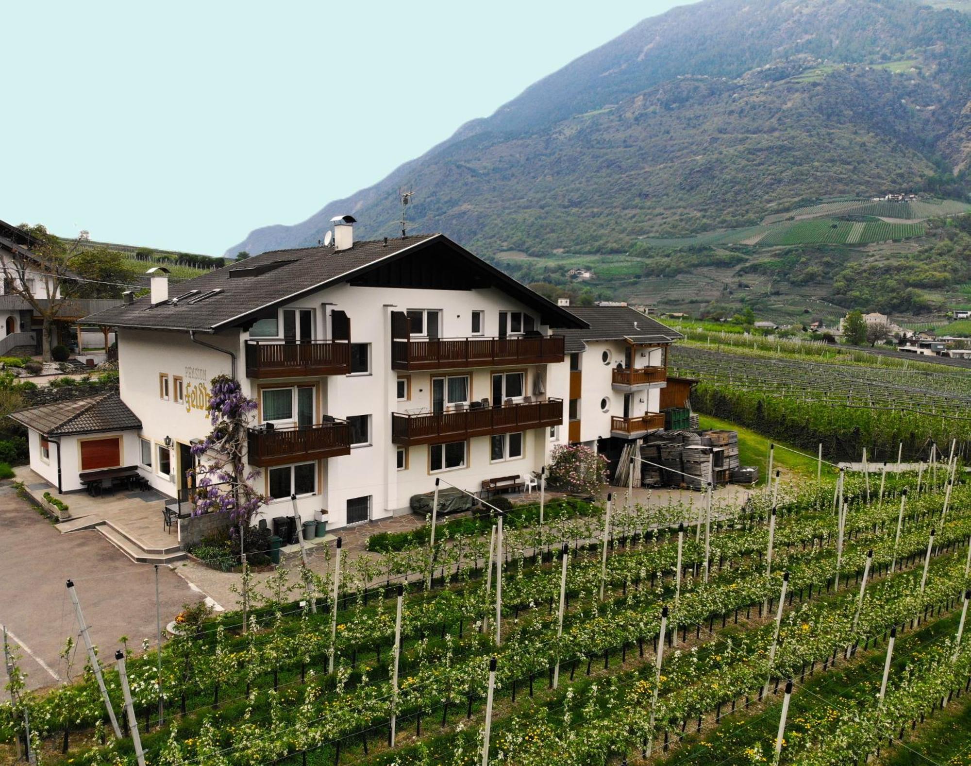 Residence Feldhof Castelbello Eksteriør billede